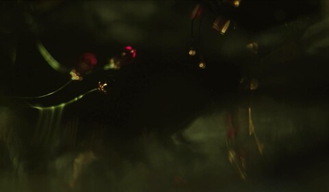 Krásně sviť a krásně hleď, z uší roste krasohled