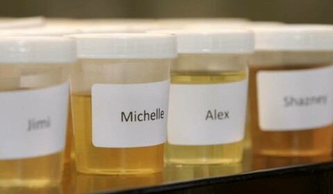 The Great British Urine Test
