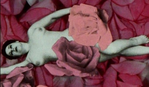 Zahrada v mé hlavě