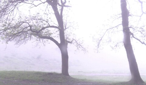 Šeptají, ale někdy křičí