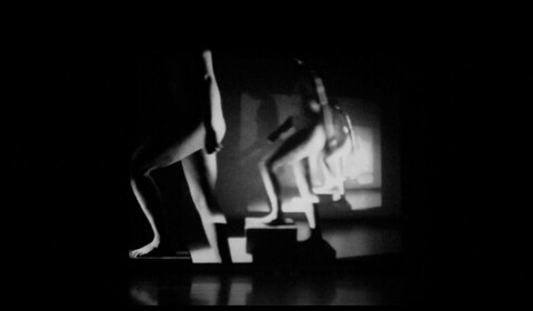 Člověk v pohybu, 2012