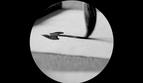 Ve stopách Li Yuan-chia & Deliy Derbyshire