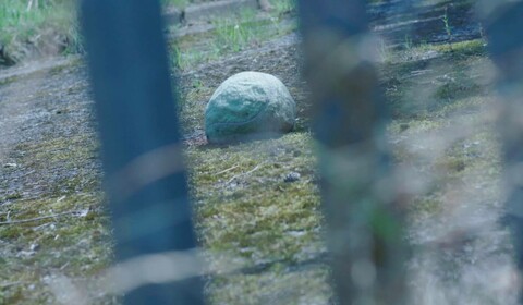 I když mi nerozumíte