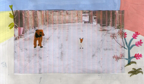 Nezapomeň mě políbit, až se probudíš