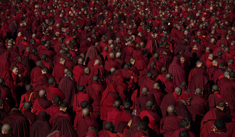 Tmavě červený les