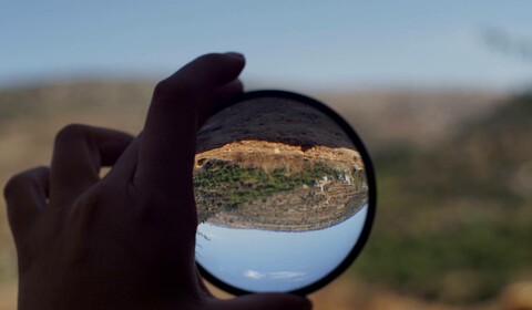 Slunce a lupa – člověk snadno zapomíná, leč strom si pamatuje