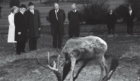 Návrat do Adriaportu