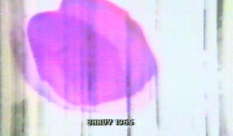Barvy 1965