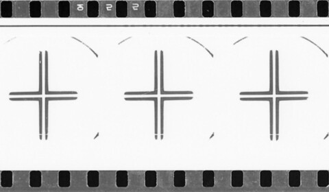 Půlnoční řapíky celeru