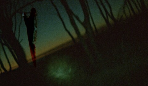 lesy a pobrežia pri zingste