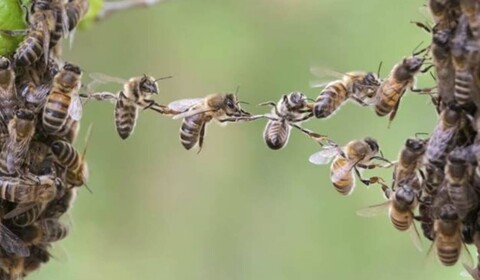 Všechno dobře dopadne