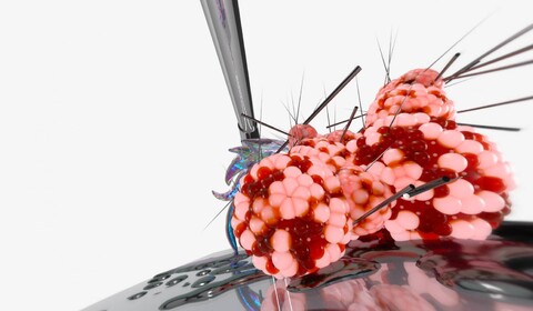 Digital Climate II. - I just want to feel solid ground under my feet