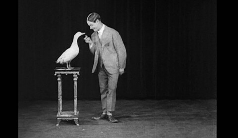 Caseova zvuková zkouška