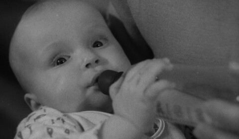 Čtyřikrát o jednom