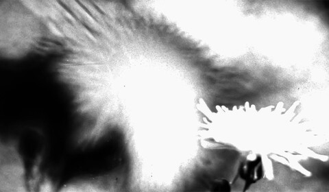 Hypnagogie