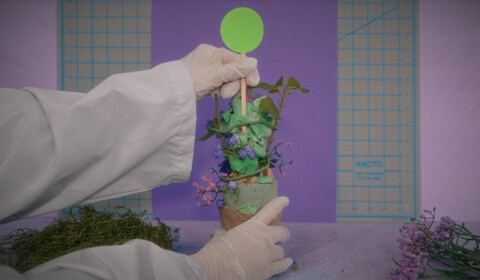 Šeřík jménem Slečna Kim