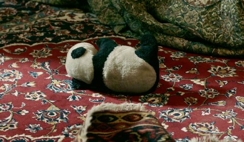 Karun - nejdelší íránská řeka