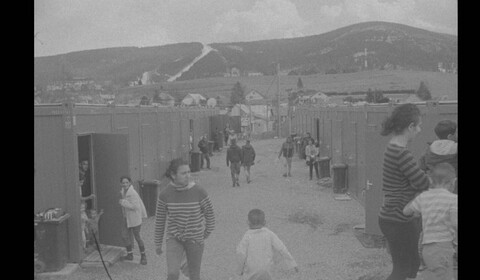 Každý svojí cestou