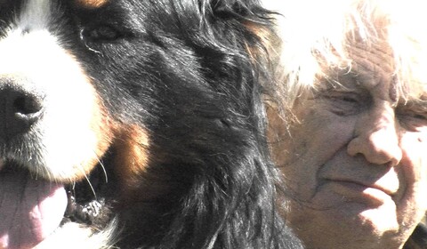 Můj drahý ptáčku