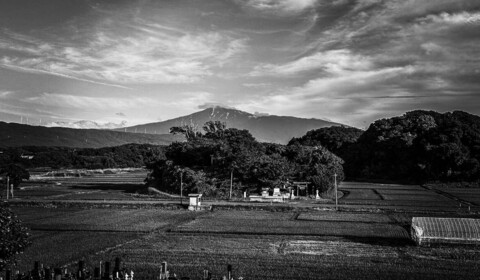 Ukradl jsi mé srdce