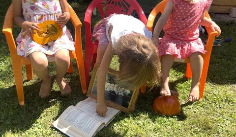 Jak se vaří z dýní a patizonů