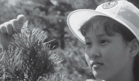 Mezinárodní dětský tábor v Songdowonu