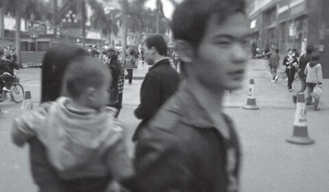 Stanice divokých palem