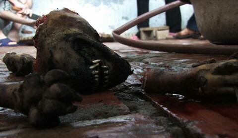 Severní Vietnam je krutý (aneb Se zpívajícím kuchařem po severním Vietnamu)