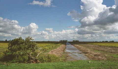 Zádumčivost & divočina