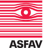 Asociace pro filmovou a audiovizuální výchovu