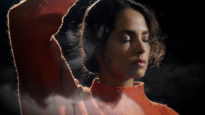 CDF uvádí: O Baripen - Odkaz Eleny Lackovej