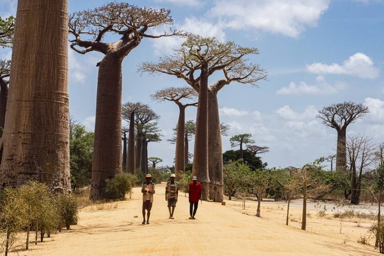 MADAGASKAR - Bájná Lemurie. Ostrov nebo kontinent? - přednáška Michala Černého 