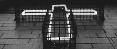 NOVÁ ÉRA Ivo Bystřičana / 20:00 / ONLINE<br>Host: Martina Viktorie Kopecká