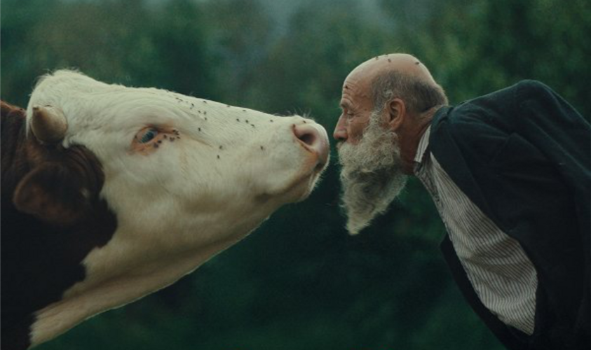 RADĚJI ZEŠÍLET V DIVOČINĚ