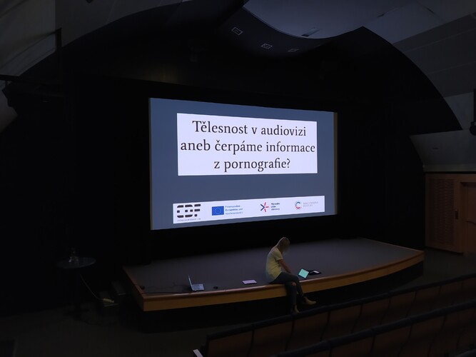 Tělesnost v audiovizi