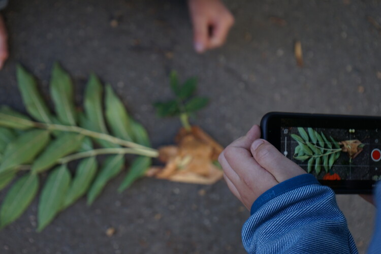 Tvorba animovaného filmu