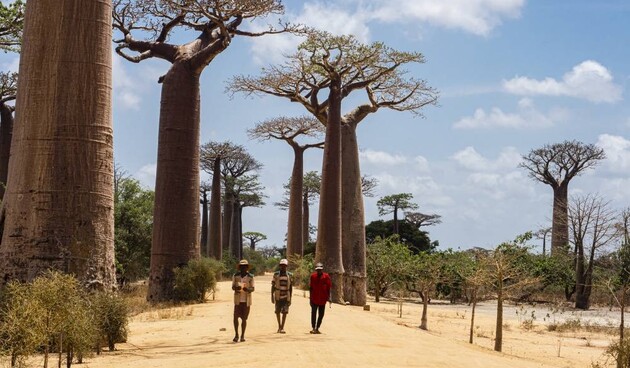 MADAGASKAR - Bájná Lemurie. Ostrov nebo kontinent? - přednáška Michala Černého
